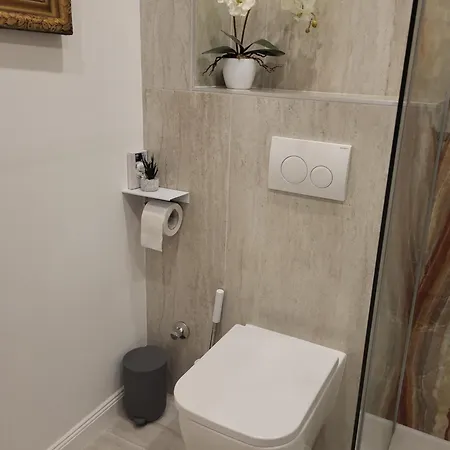 Private With Own Pool And Huge Garden, 150m To Longest Free At Balaton Appartement