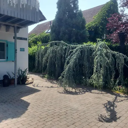 Private With Own Pool And Huge Garden, 150m To Longest Free At Balaton *